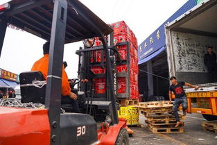 海峽兩岸攜手，滯銷水果變暢銷——物流城倉儲服務助力臺農脫困